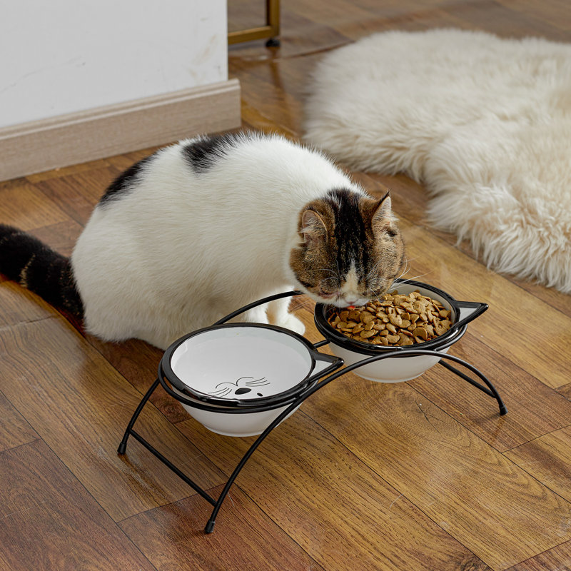 Y YHY Elevated Cat Feeder & Reviews Wayfair